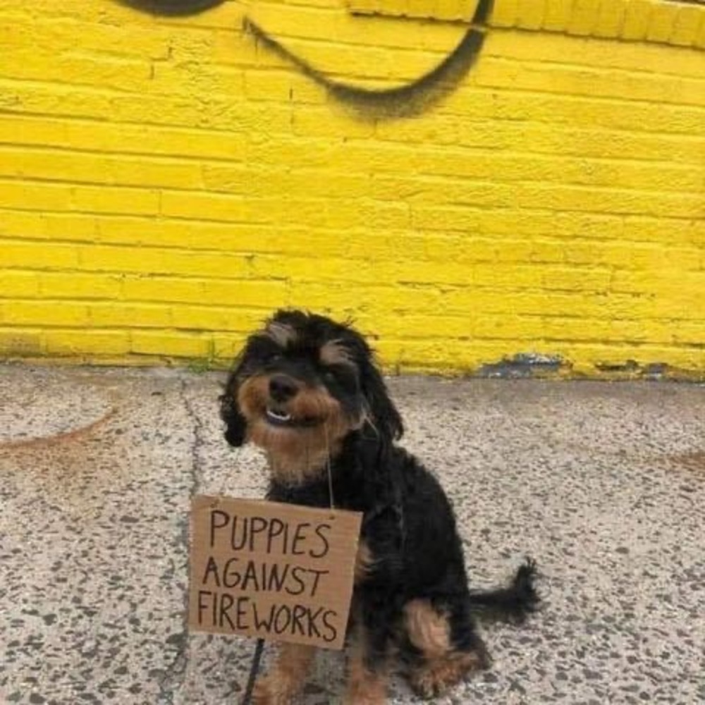 Meet your Posher, Mary ann